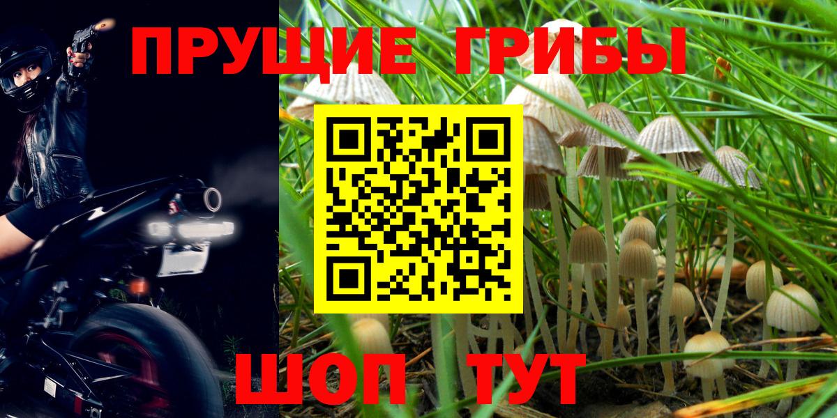 Галлюциногенные грибы Cubensis  Вход с VPN  Мытищи 