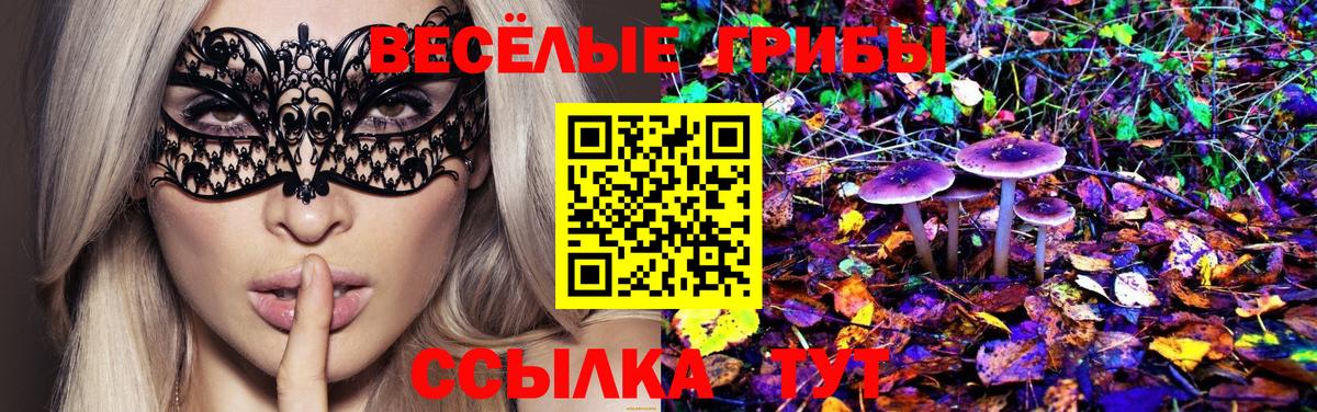 Псилоцибиновые грибы Magic Shrooms Мытищи